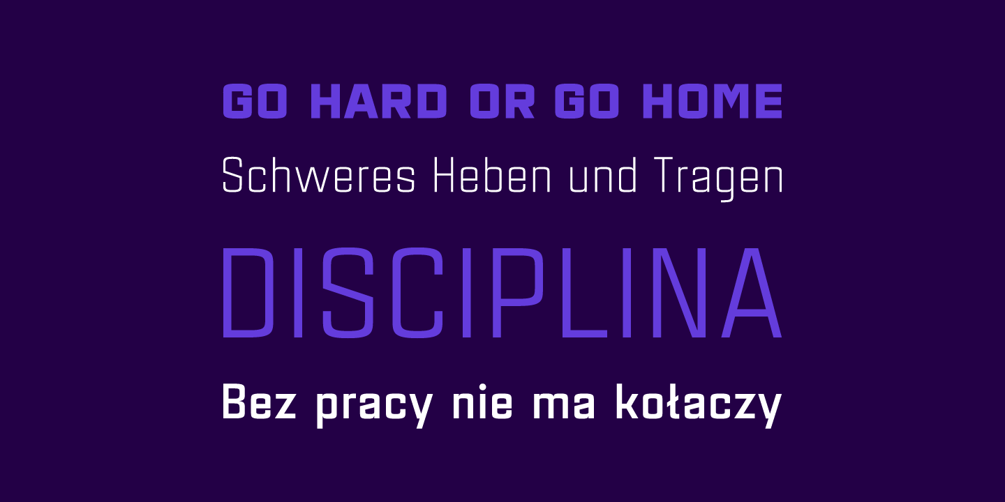 Przykład czcionki Estricta Thin Italic